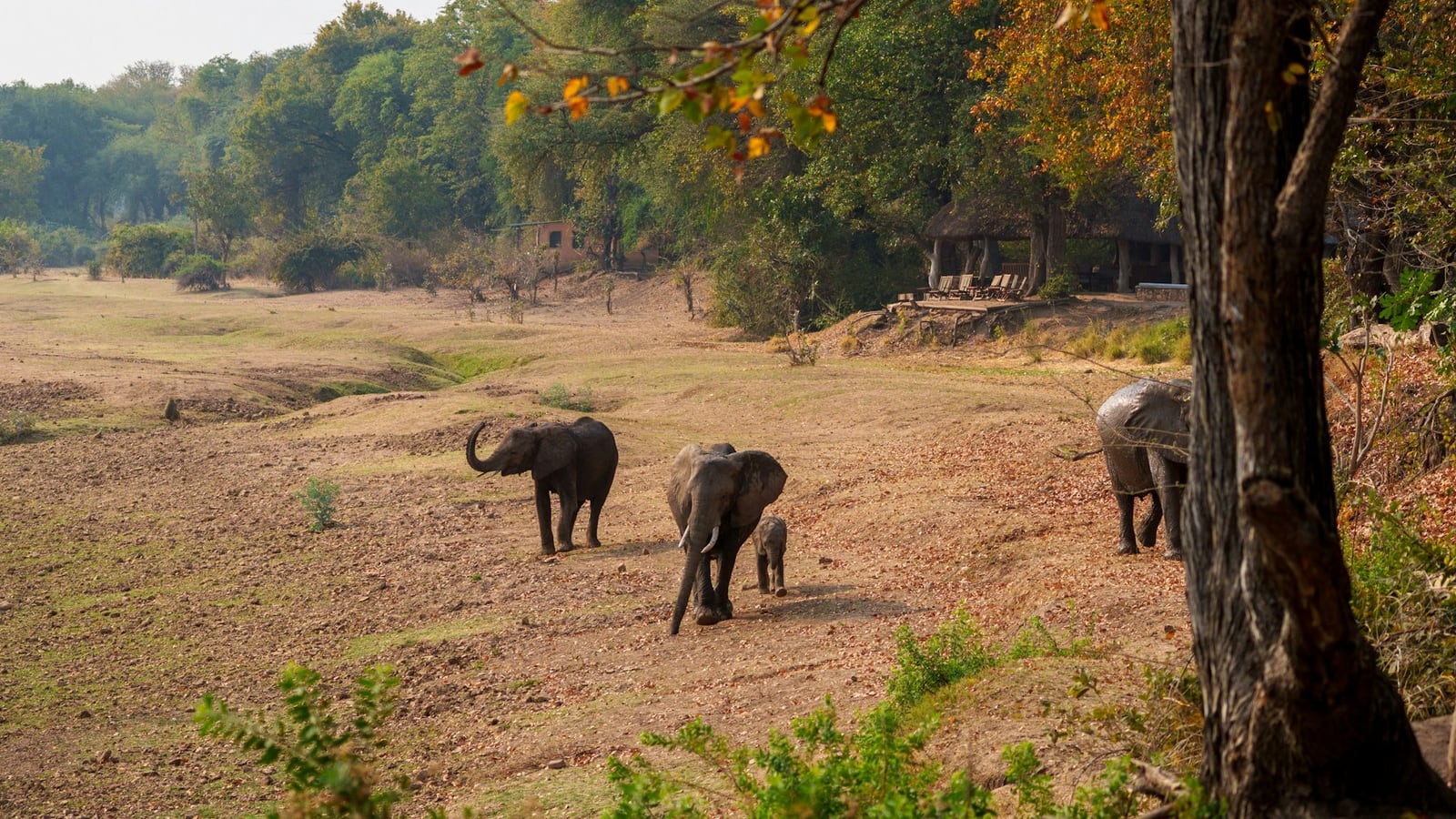 Ghiduri de călătorie în Africa: safari, cultură și peisaje